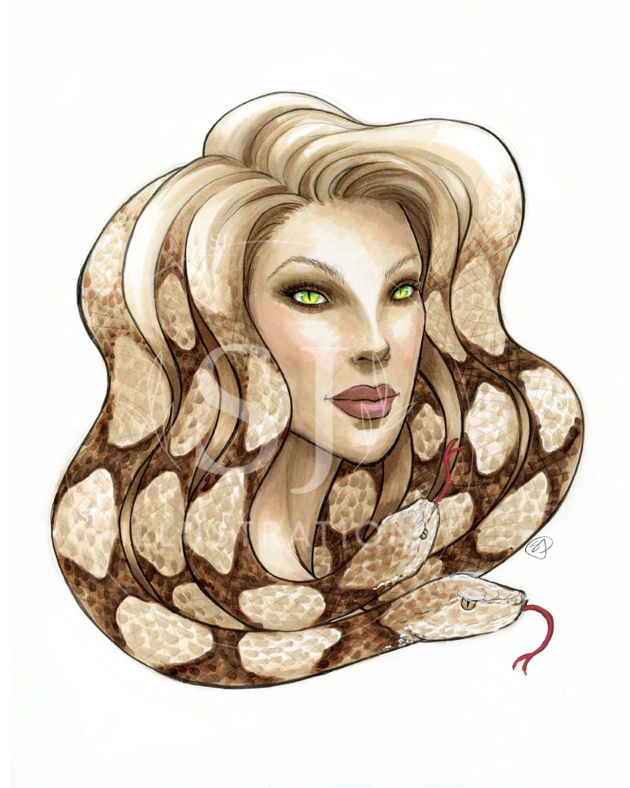 Medusa v.2  |  Fantasy & Myth Illustration (ART PRINT)